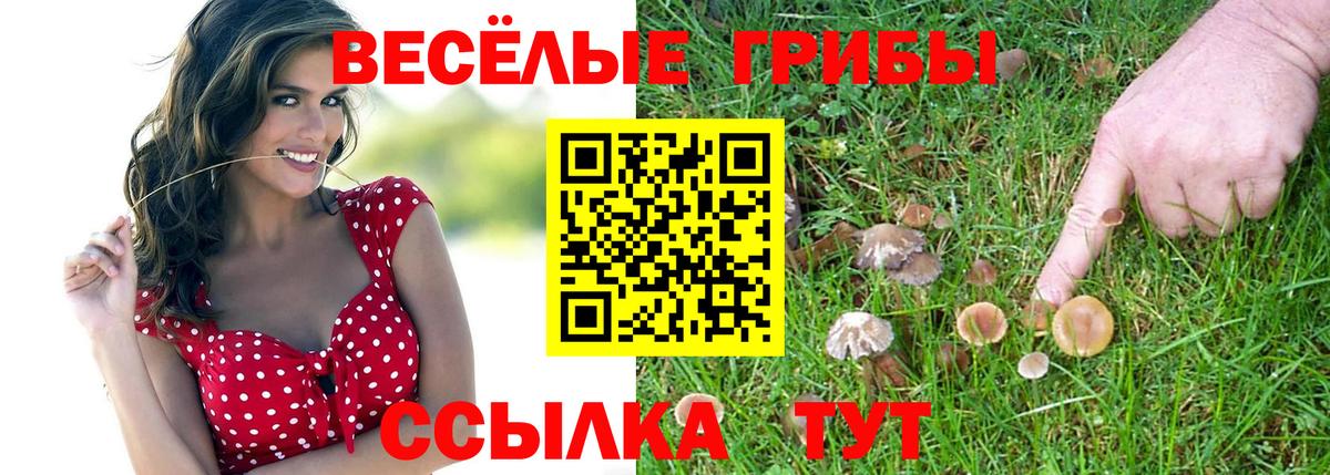 Зеленодольск  Псилоцибиновые грибы Cubensis  Вход с VPN  Галлюциногенные грибы Magic Shrooms 